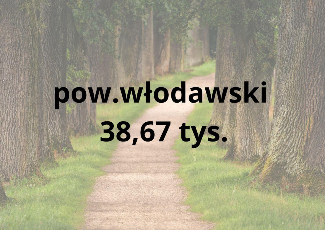 Te powiaty w woj. lubelskim są najmniej zaludnione. Gdzie mieszka najmniej osób? Sprawdź!