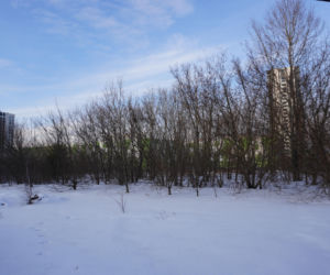 W tym miejscu 35 lat temu otworzono pierwszy supermarket w Warszawie