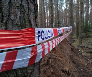 Wrak samolotu z czasów wojny znaleziony w lesie. W środku było ciało radzieckiego żołnierza