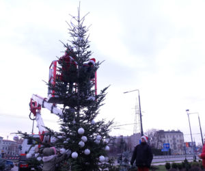 Eskowa choinka stanęła przez Aqua Lublin!