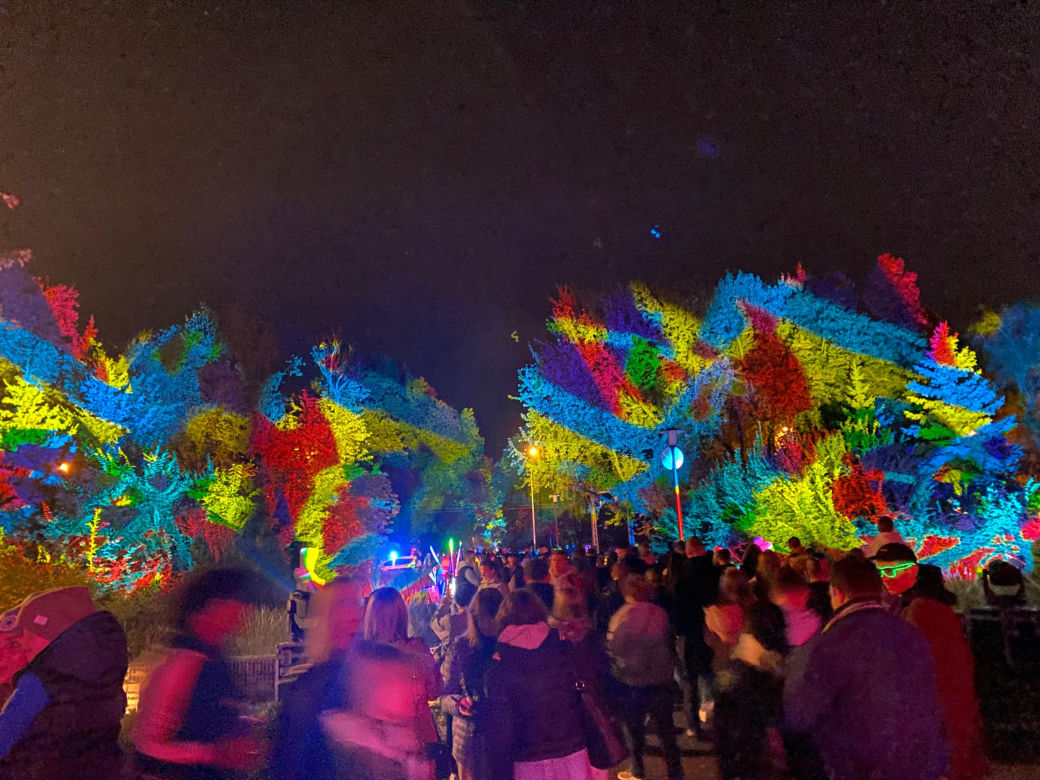 Light Move Festival 2025