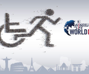 Wings for Life World Run