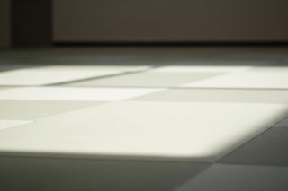 Awantura na macie w Bielsku-Białej. Czy izraelski trener przekroczył granice fair play?