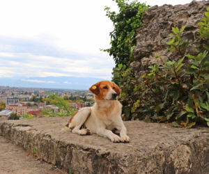 Kutaisi, Gruzja
