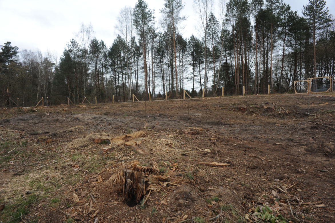 Karnieszewice: Skarb w lesie