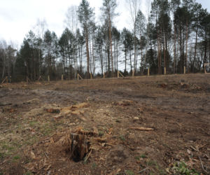 Karnieszewice: Skarb w lesie