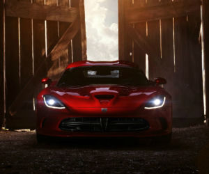 NOWY Viper 2013