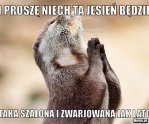 Równonoc jesienna 2020. Zobacz najlepsze memy na pierwszy dzień jesieni
