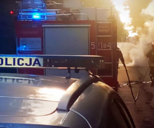 Zderzenie z sarną może skończyć się TRAGICZNIE. Auto 27-latki stanęło w płomieniach