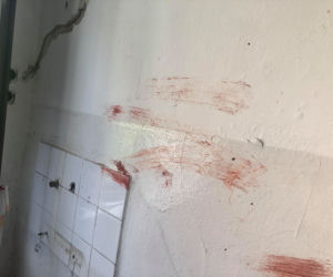 Scena jak z horroru w Sobótce! Martwy kot w wannie i mnóstwo krwi!