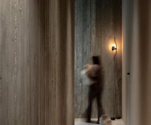 Dom wokół drzewa w Poznaniu. Betonowa willa projektu PL.architekci