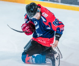 GKS Katowice - KH Energa Toruń, zdjęcia z Satelity