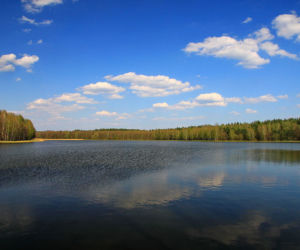 Pojezierze Palowickie