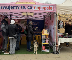 Jarmark w Lublinie