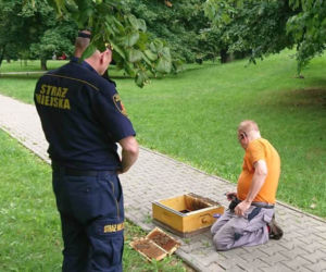 Groza na Ostrobramskiej. Na chodniku leżał ogromny rój pszczół