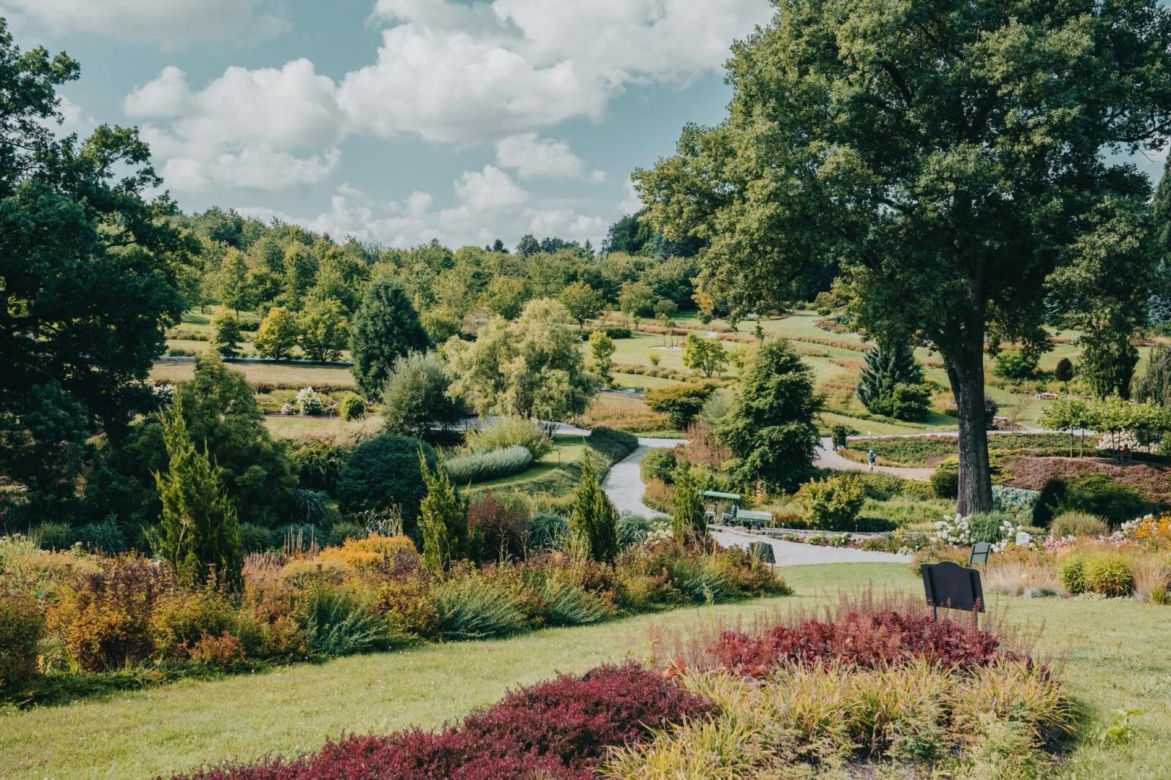 Arboretum Wojsławice pod Wrocławiem