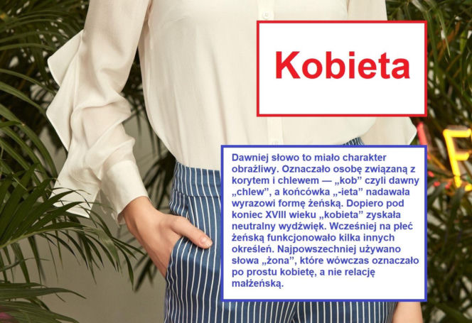 Język żyje — zmienia go historia, migracje, zapożyczenia z innych języków, a nawet technologia