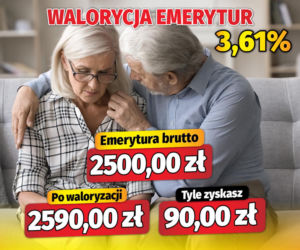 Waloryzacja