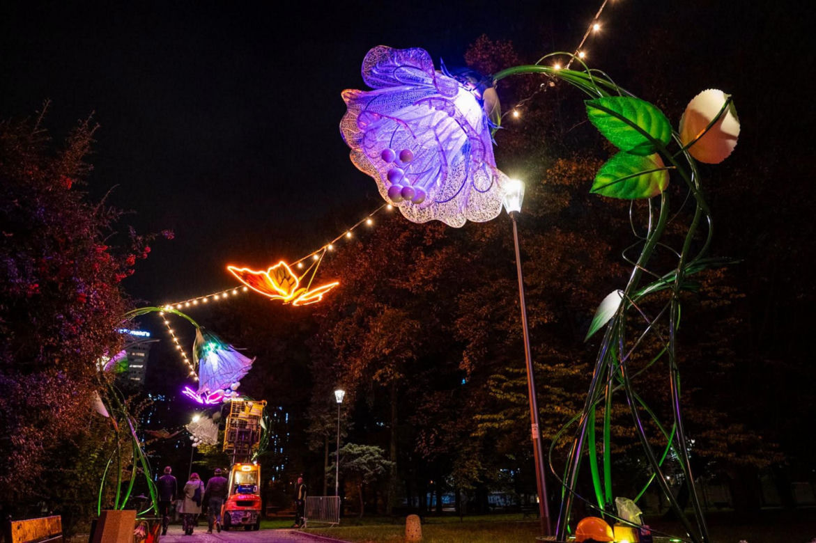 Iluminacja w Parku Świętokrzyskim. Wygląda pięknie