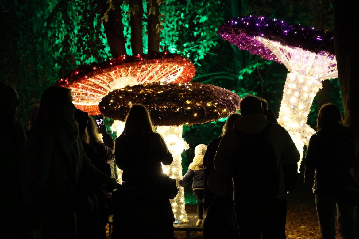 Park iluminacji 2023 w Lublinie