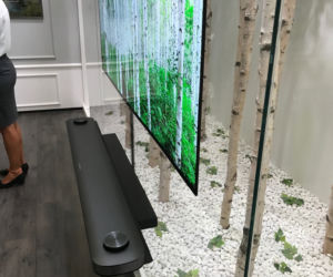Trendy IFA 2017: telewizory