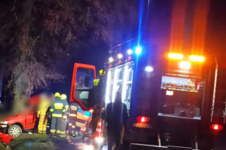 Ukradli opla i pędzili jak szaleni. Z impetem uderzyli w drzewo! Zginęli na miejscu