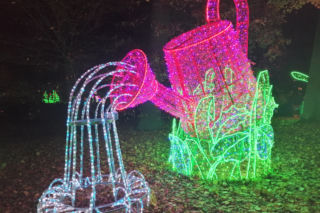 Park Iluminacji w Poznaniu. Zobaczcie Magiczny Las [ZDJĘCIA]