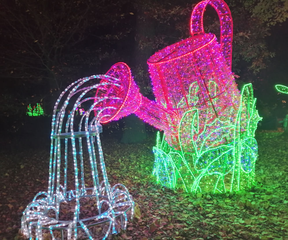 Park Iluminacji w Poznaniu