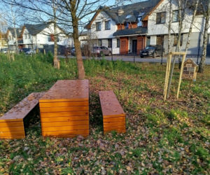 Park kieszonkowy Siedlce, ul. Traugutta