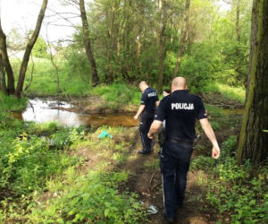 Wsadzili trzy kocięta do reklamówki, obciążyli kamieniem i wrzucili do rzeki. Policja szuka sprawców [ZDJĘCIA]