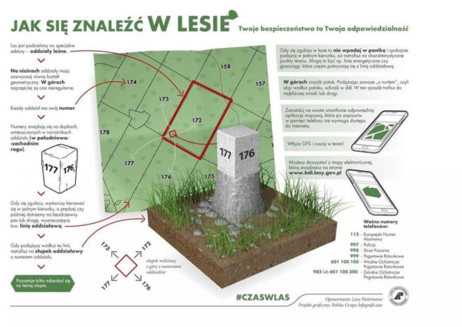 bezpieczne grzybobranie
