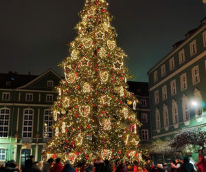 Choinka przed urzędem miasta w Szczecinie