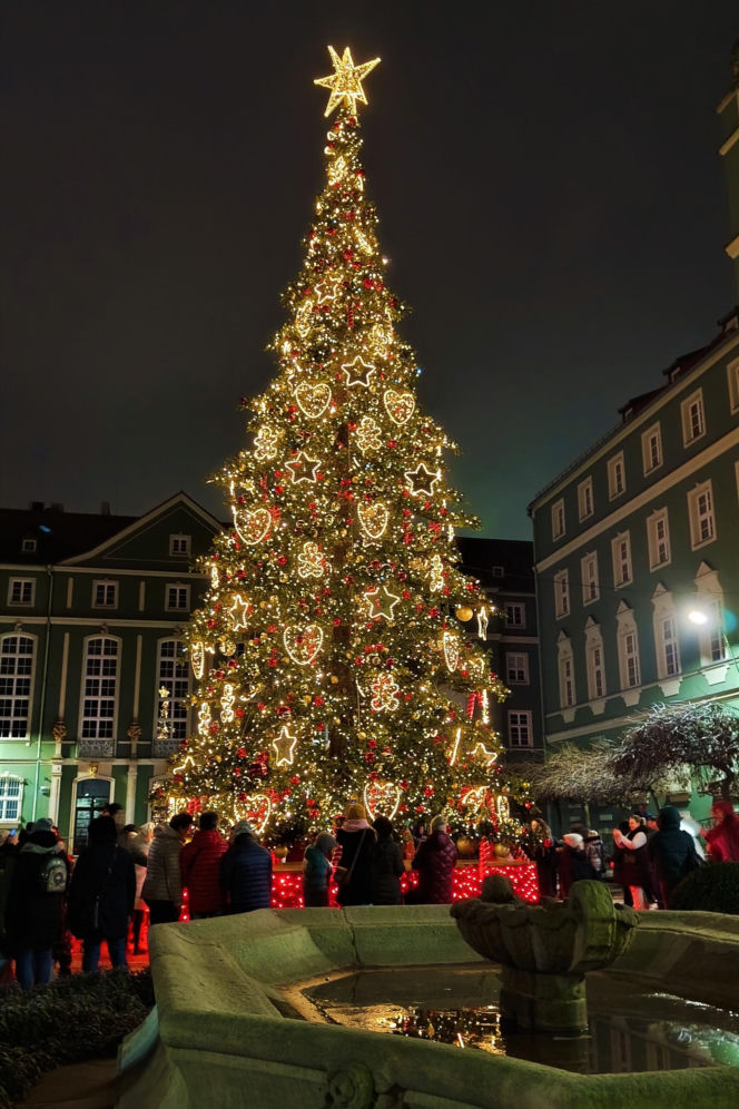 Choinka przed urzędem miasta w Szczecinie