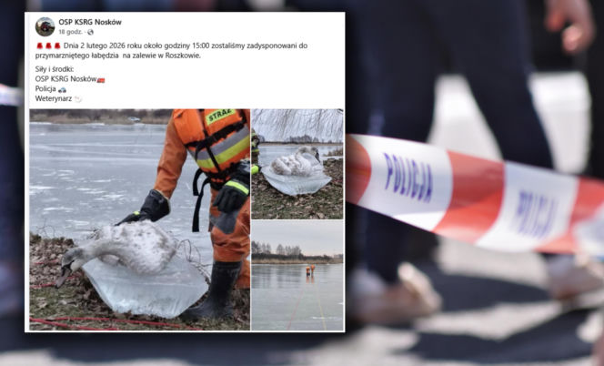 Przymarzł do lodu i nie miał szans. Tragiczny finał akcji ratunkowej na zalewie! 