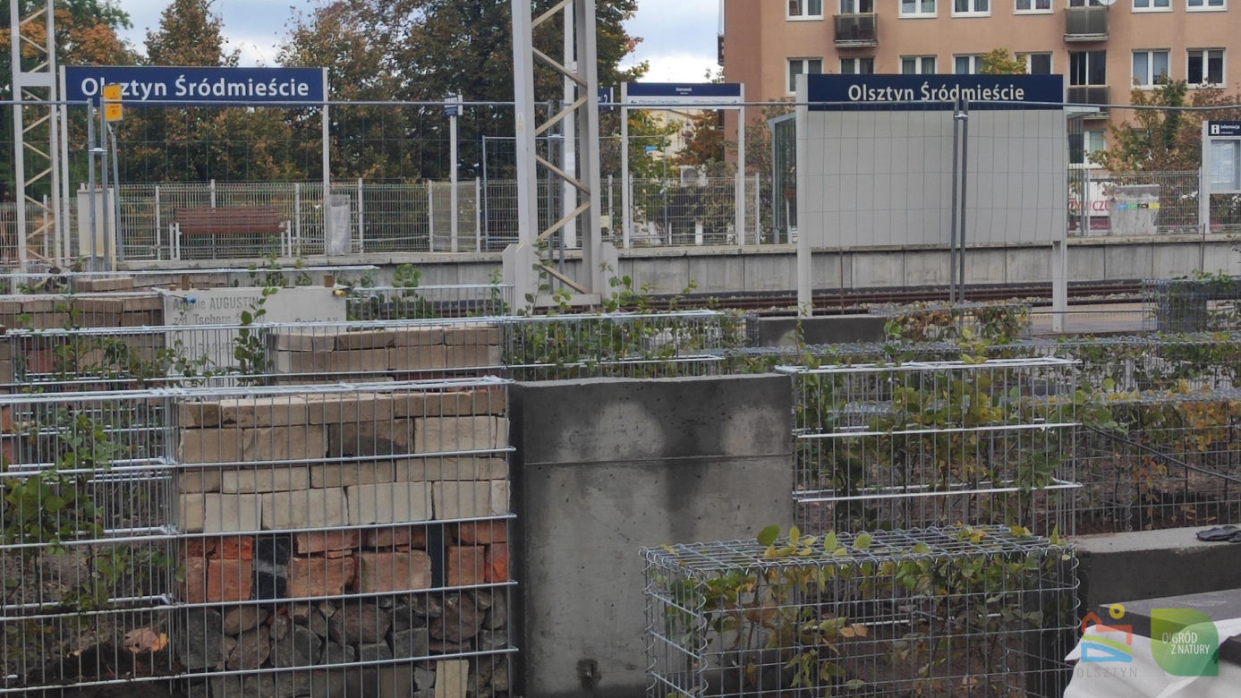 Budowa węzła przesiadkowego Olsztyn - Śródmieście