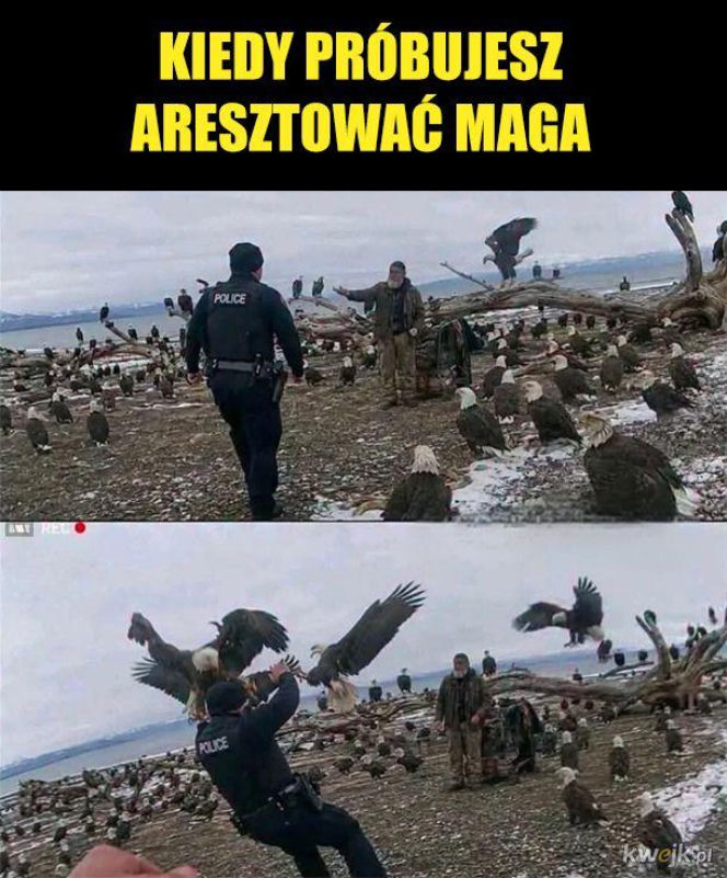 Święto Policji wypada 24 lipca. Mundurowi odbiorą życzenia, a internet już szykuje swoje memy
