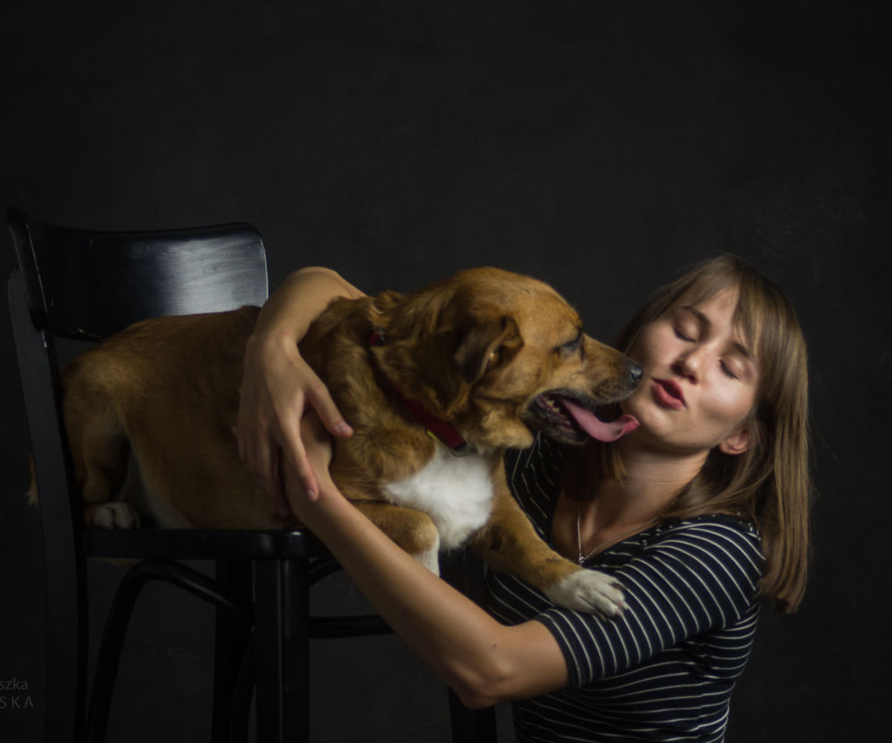 Adopcja nie gryzie: Przyjdź na sesję zdjęciową z pupilem w Rzeszowie