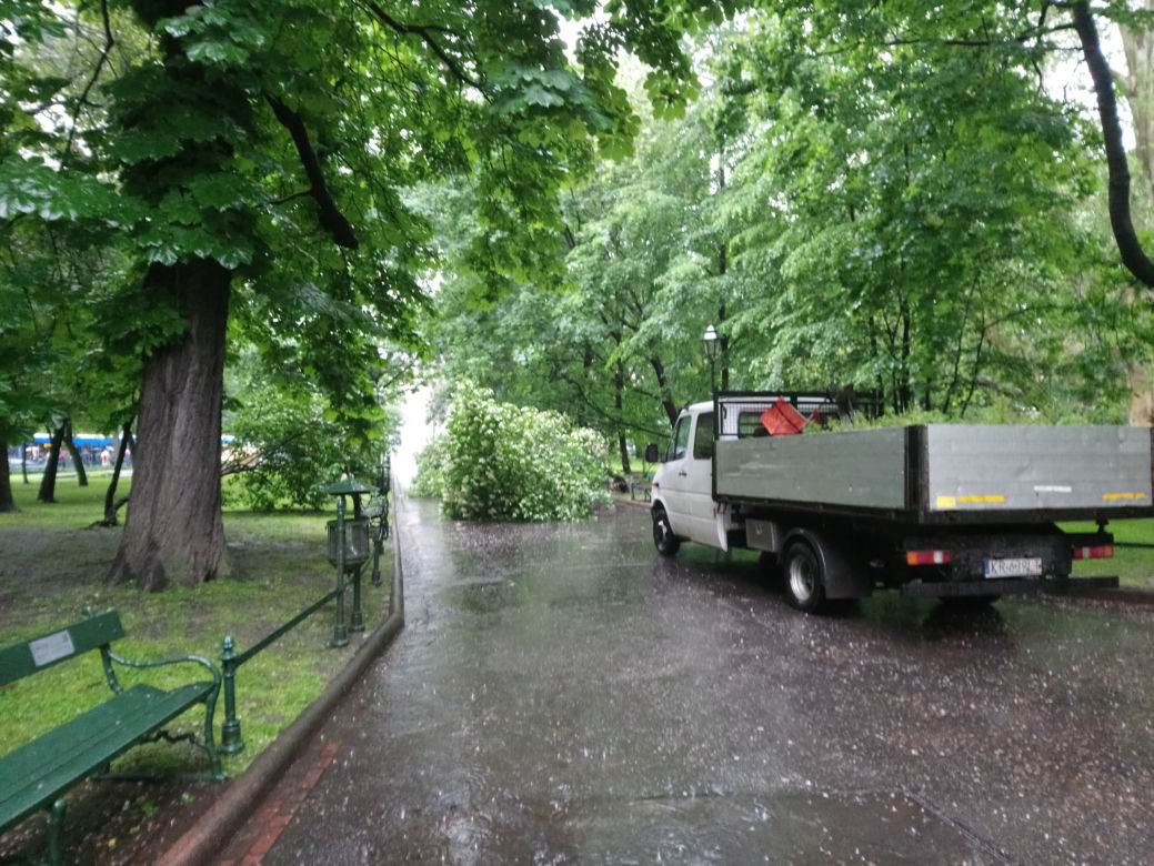 Nawałnica nad Krakowem. Powyrywane drzewa na Plantach