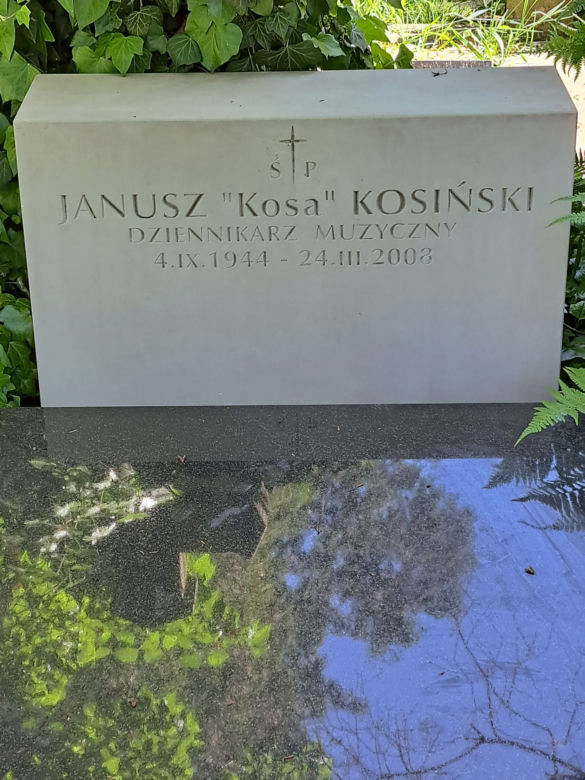 Groby znanych Polaków na cmentarzu ewangelickim