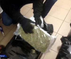 Marihuana w mandarynkach