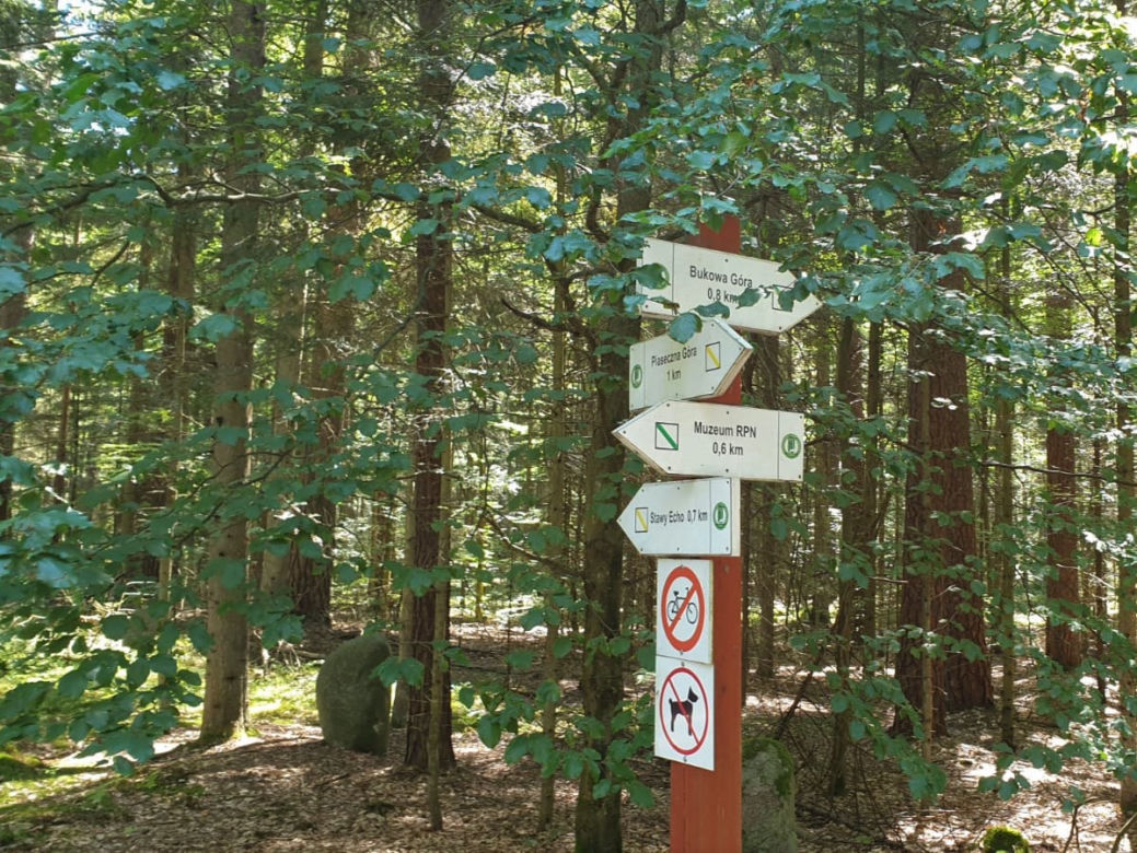 Roztoczański Park Narodowy - Bukowa Góra