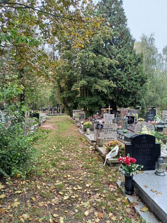 Cmentarz Junikowo Poznań