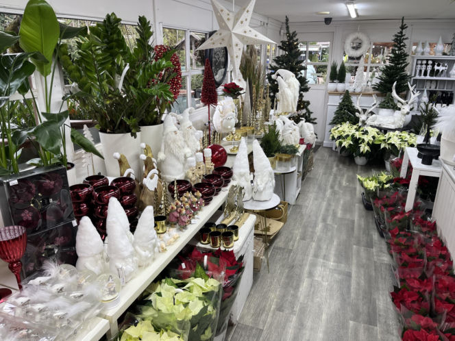 ESKA UBIERZE CI CHOINKĘ 2025