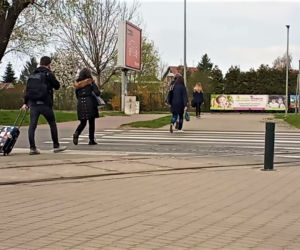 Tutaj giną piesi! Będą zmiany w jednym z najbardziej niebezpiecznych miejsc w Szczecinie