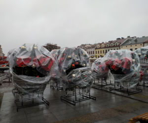 Stawiają świąteczną choinkę na Rynku [ZDJĘCIA]