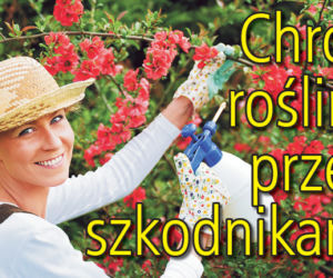 Chroń rośliny przed szkodnikami