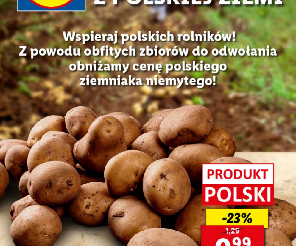 Super promocje w Lidlu 