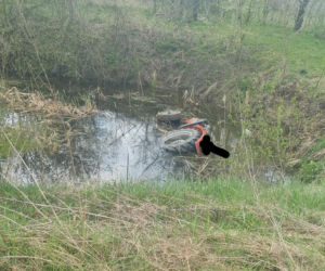 28-letni Ukrainiec zginął pod Garwolinem! Jego ciągnik wjechał do sadzawki [ZDJĘCIA]