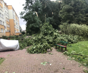 Jedną z dzielnic, któa ucierpiała najbardziej był Czechów Południowy
