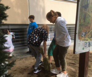 Iławska SP4 doceniona za ogródek i otoczenie szkoły